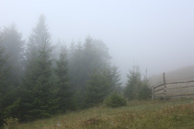 Photo of Wooden fence near forest covered with fog