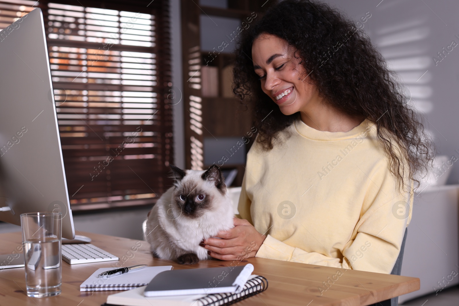 Photo of Beautiful woman with her cute cat working on computer at desk in home office