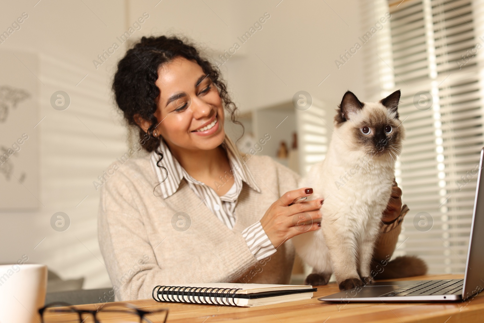 Photo of Beautiful woman with her cute cat working on laptop at desk in home office