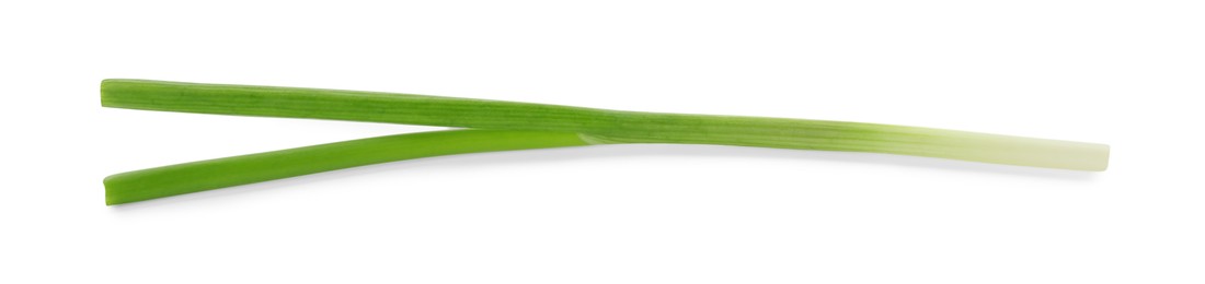 Photo of One fresh green onion isolated on white