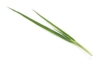 Photo of One fresh green onion isolated on white