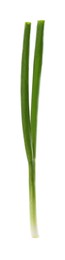 Photo of One fresh green onion isolated on white