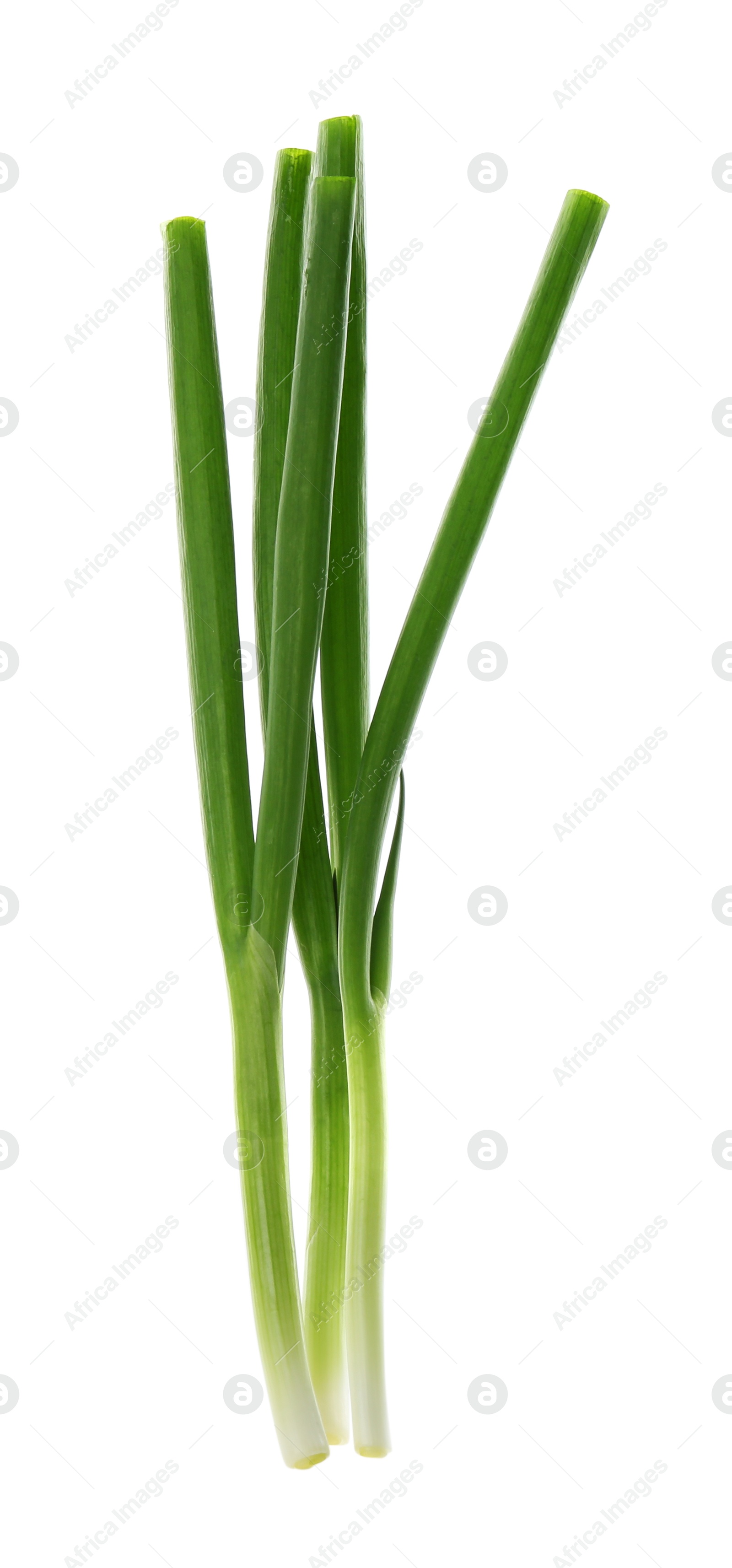 Photo of Cut fresh green onions isolated on white