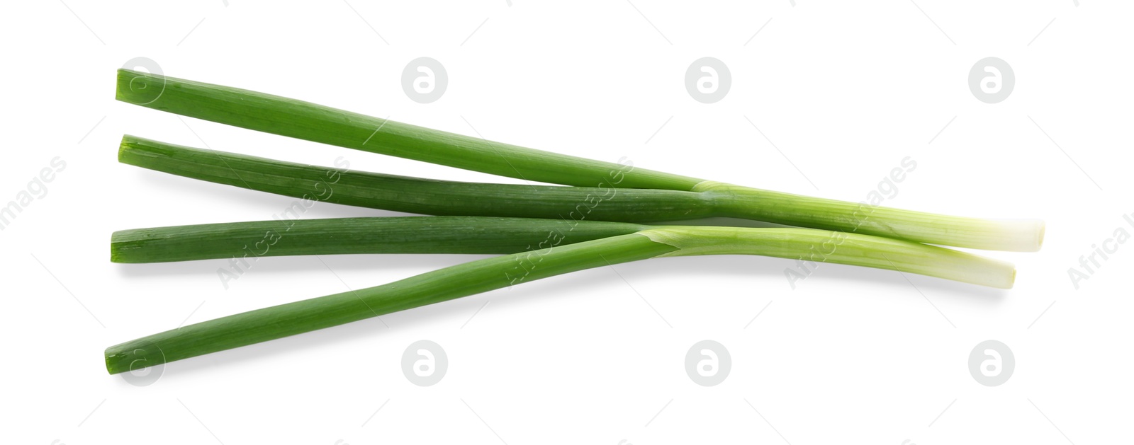 Photo of Fresh ripe green onions isolated on white