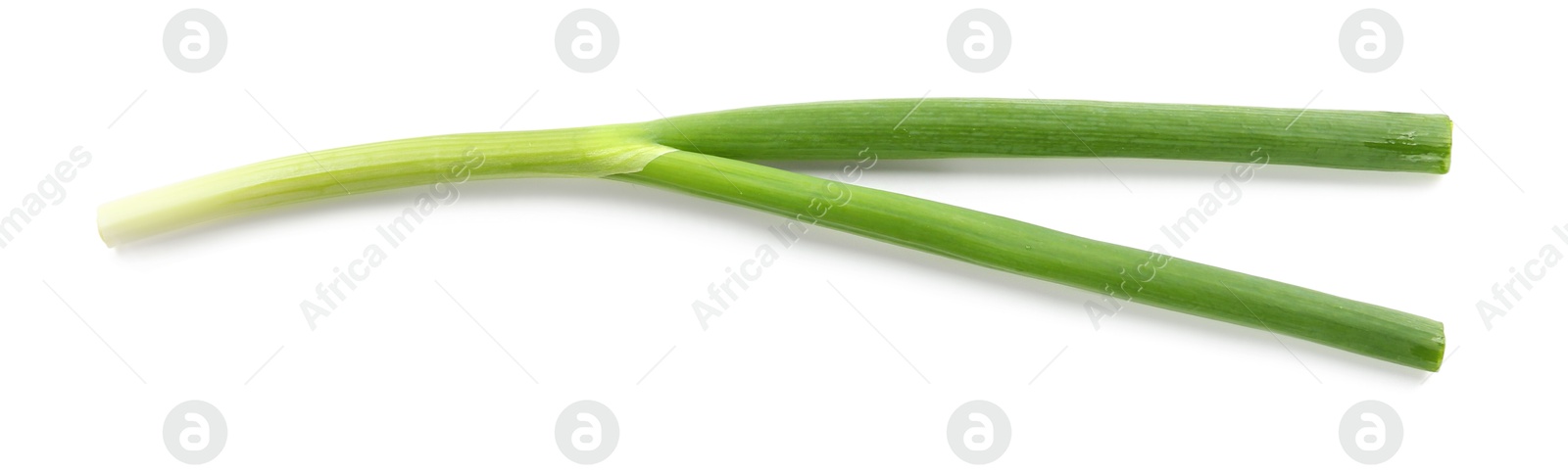 Photo of One fresh green onion isolated on white