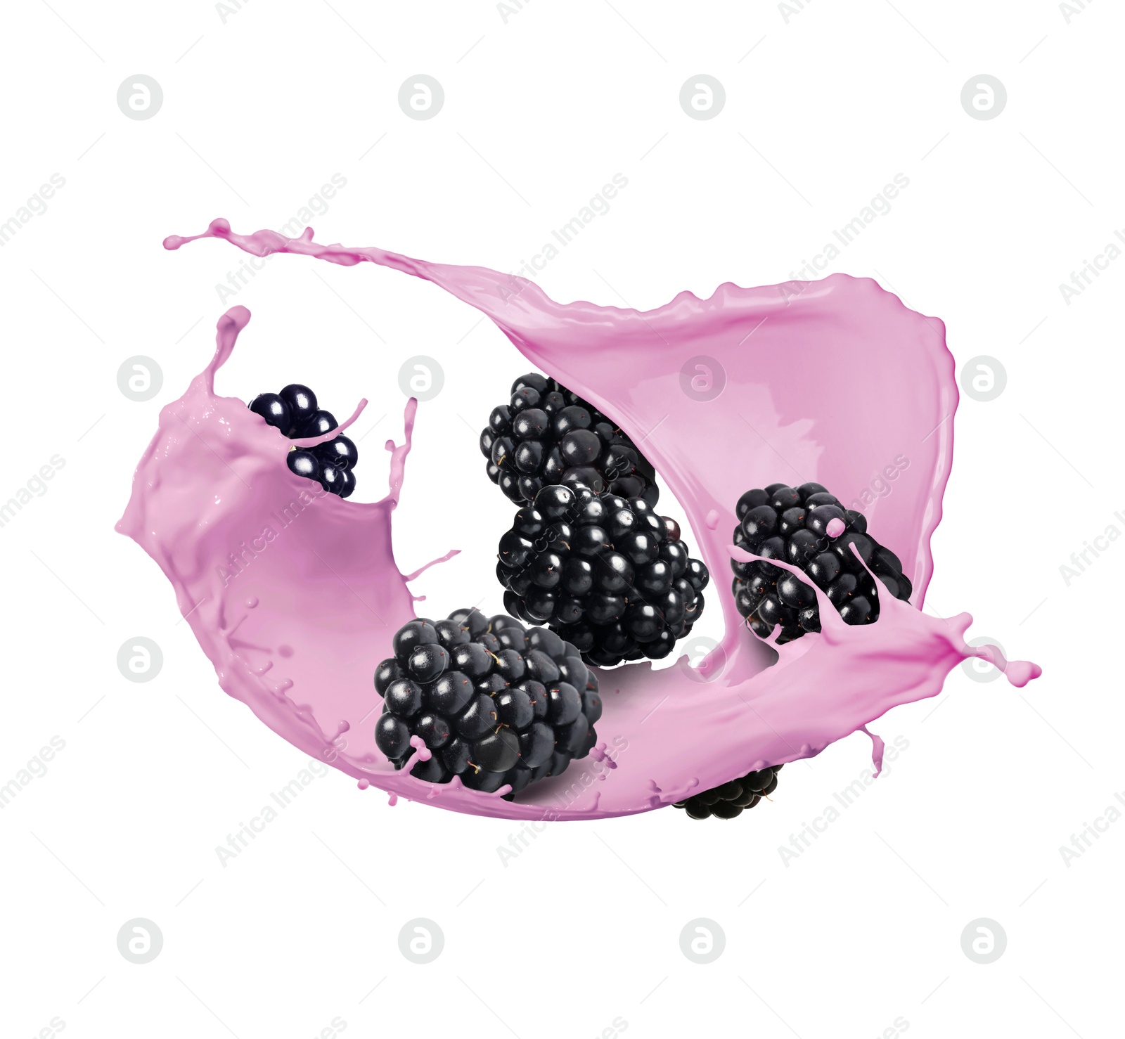 Image of Blackberry milkshake splash with berries in air on white background