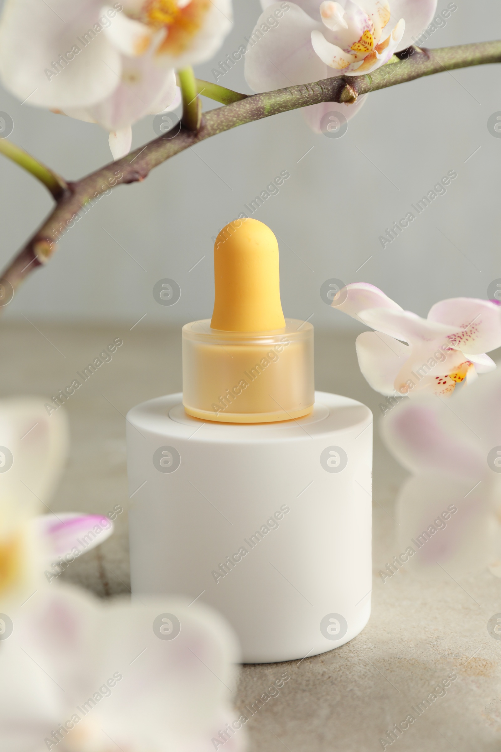 Photo of Bottle of skin care product and orchid flowers on gray textured surface