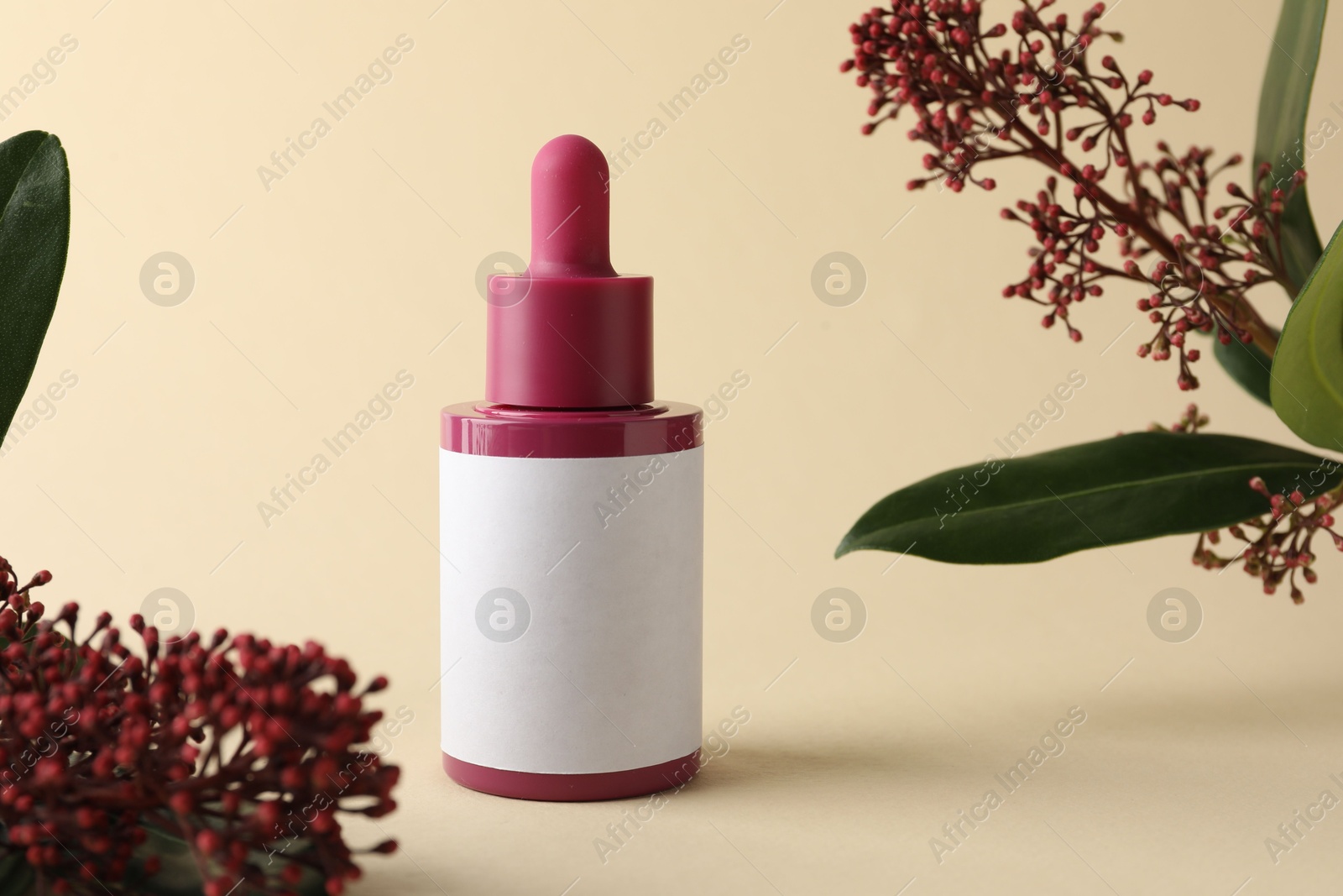 Photo of Bottle of skin care product and skimmia plant on beige background