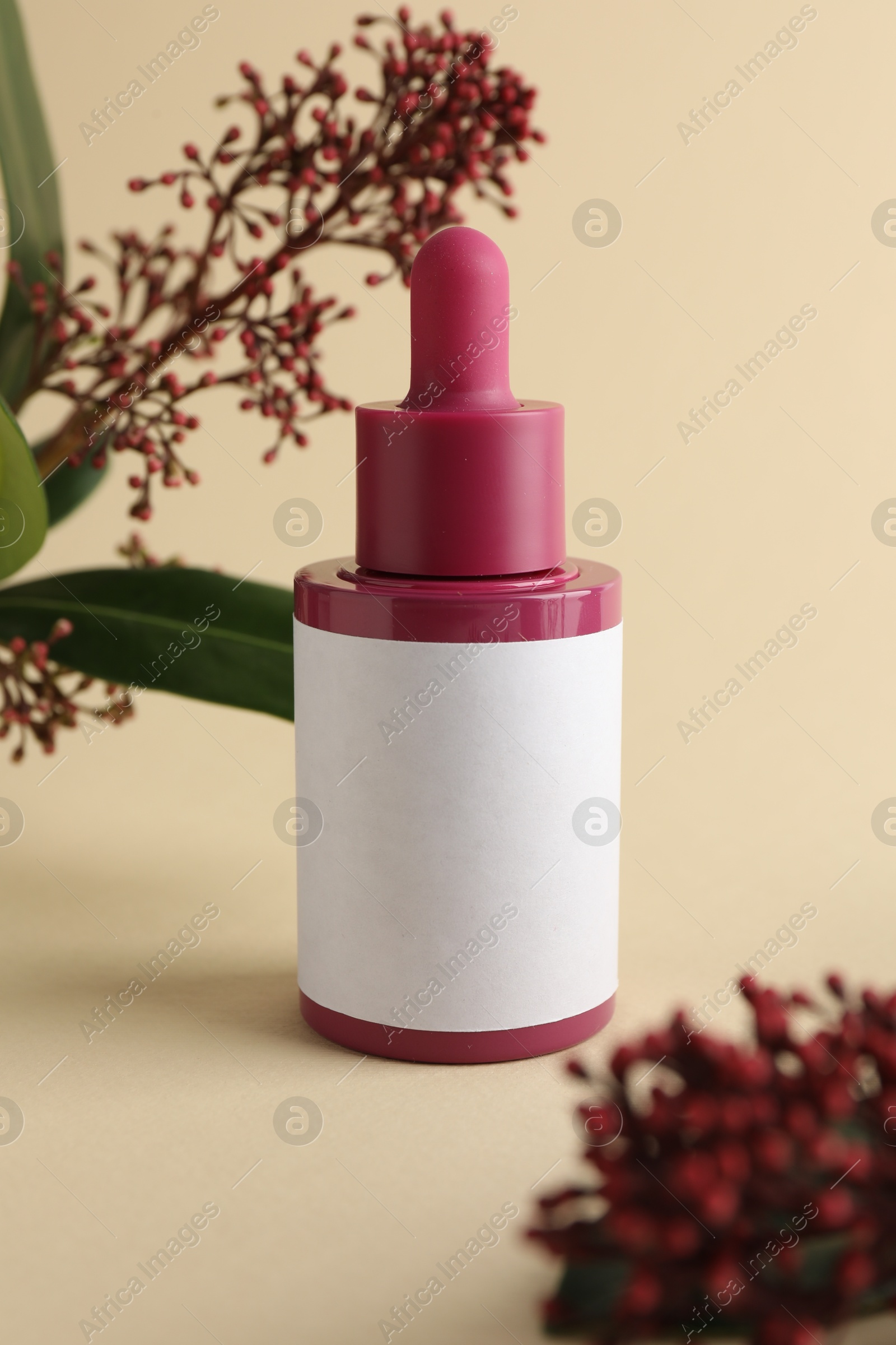 Photo of Bottle of skin care product and skimmia plant on beige background