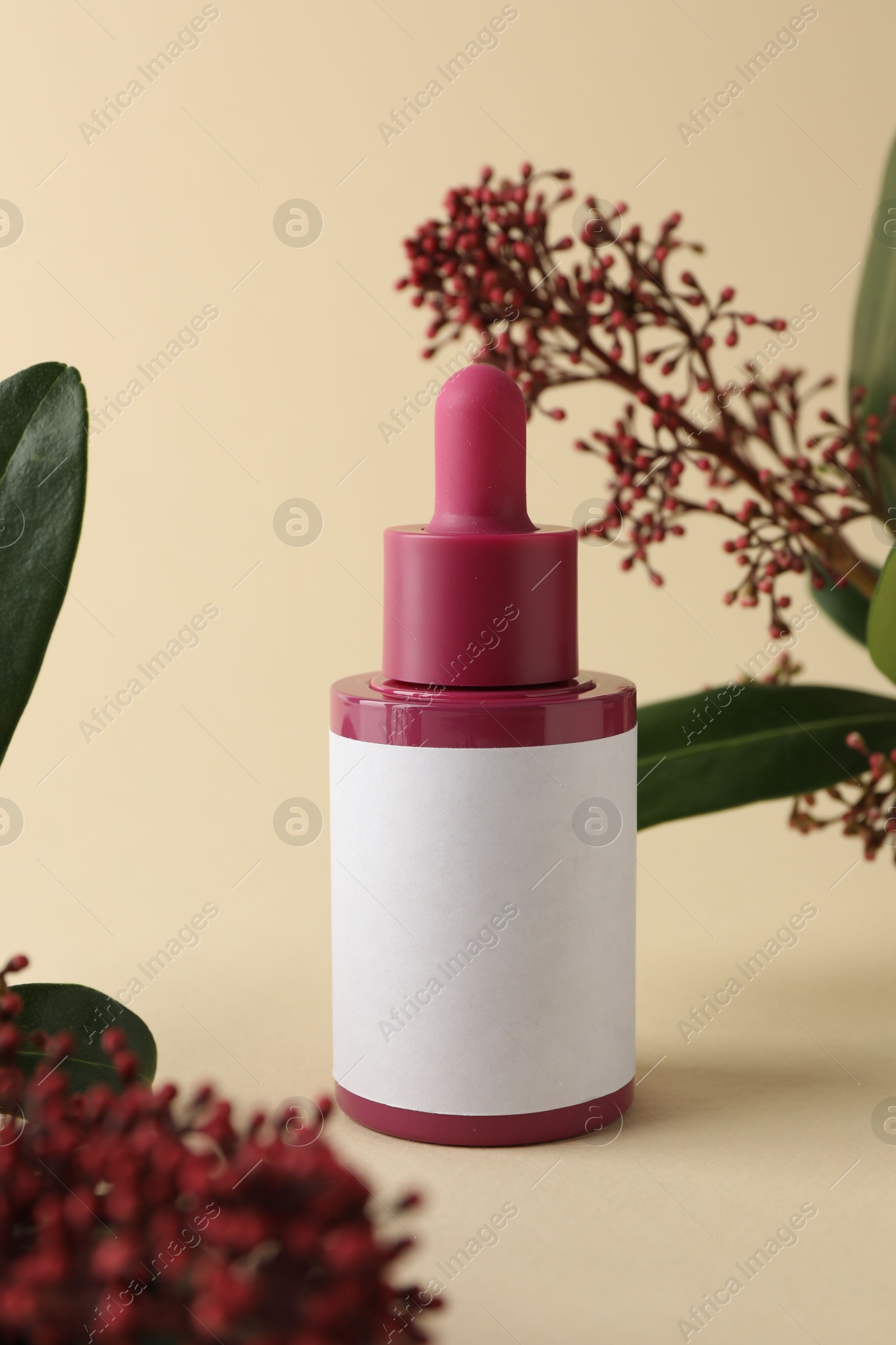 Photo of Bottle of skin care product and skimmia plant on beige background