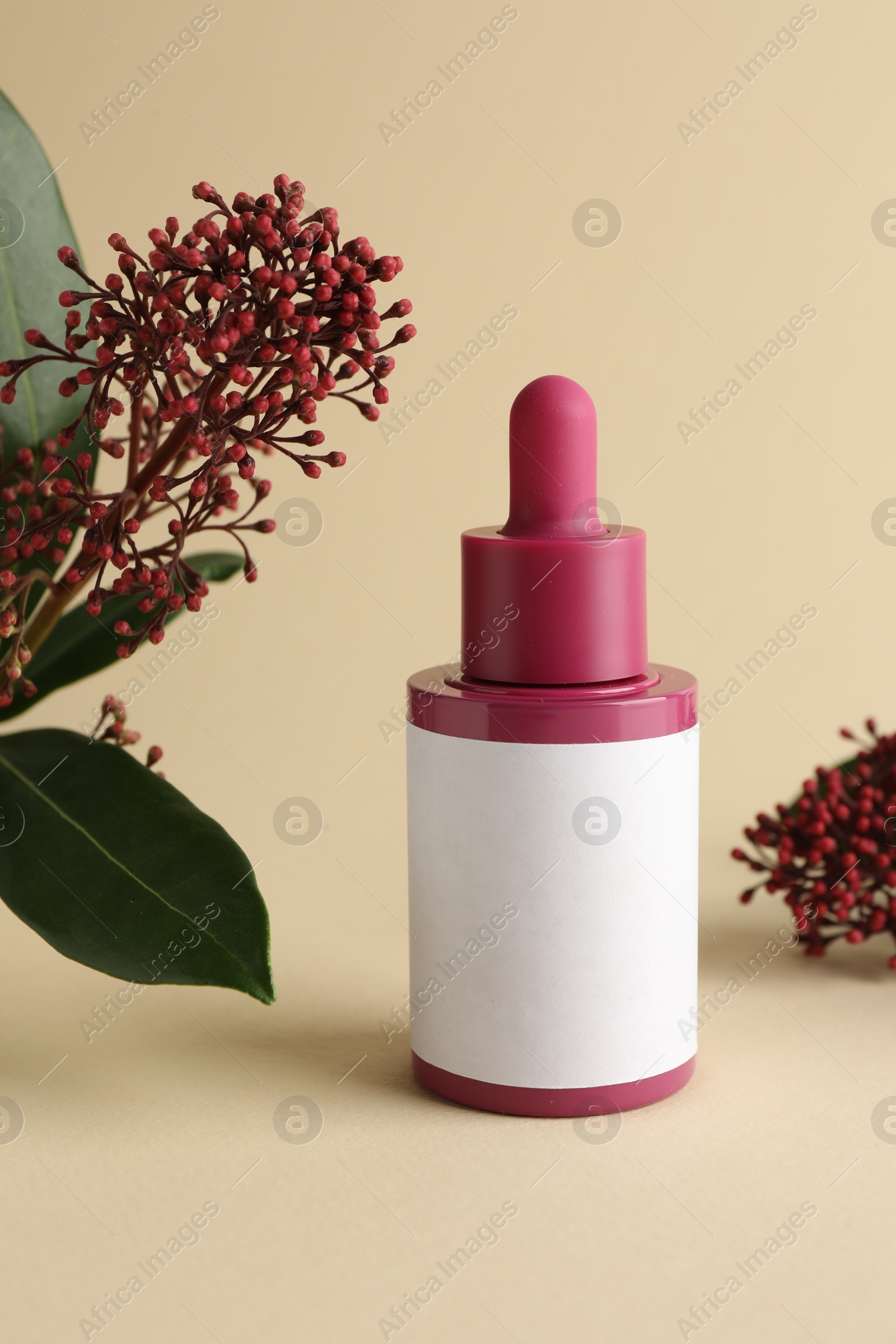 Photo of Bottle of skin care product and skimmia plant on beige background