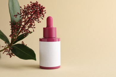 Photo of Bottle of skin care product and skimmia plant on beige background, space for text