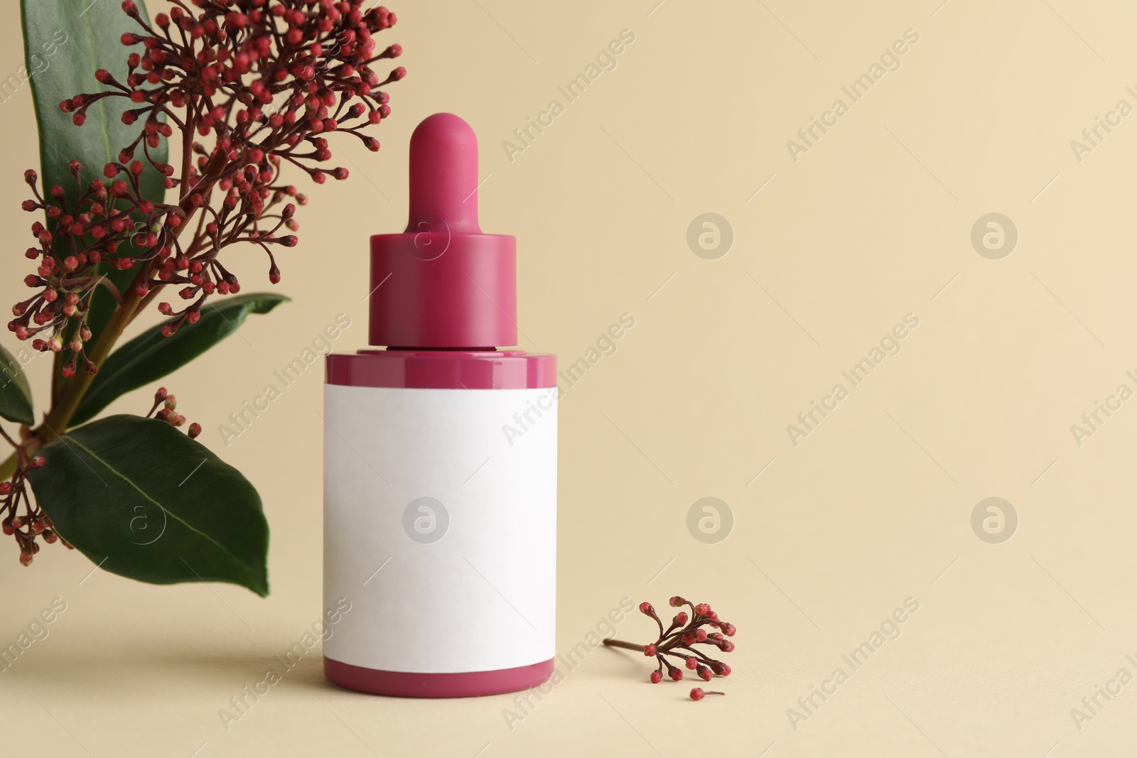 Photo of Bottle of skin care product and skimmia plant on beige background, space for text