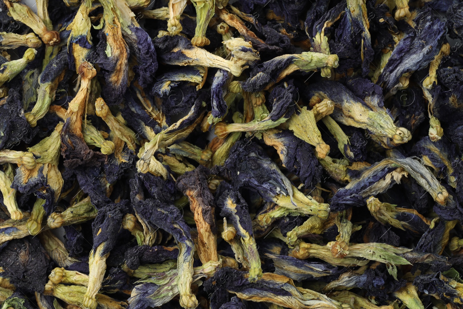 Photo of Butterfly pea flower tea. Dry Clitoria ternatea petals as background, top view