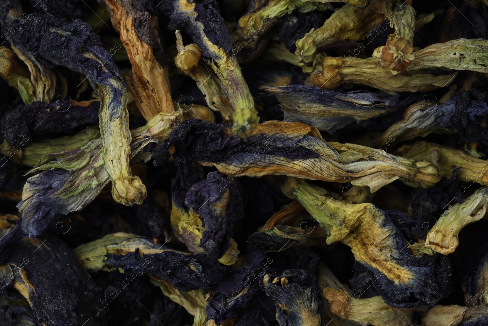 Photo of Butterfly pea flower tea. Dry Clitoria ternatea petals as background, top view