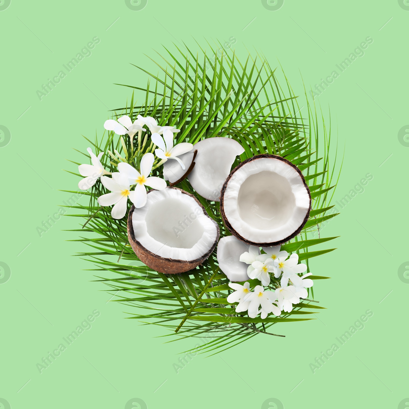 Image of Coconuts, tropical flowers and leaves on light green background