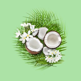 Image of Coconuts, tropical flowers and leaves on light green background