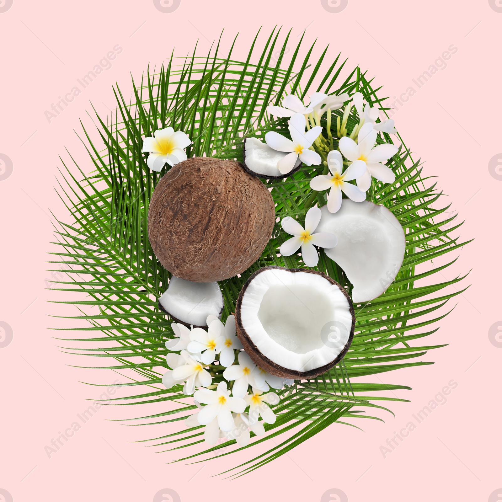 Image of Coconuts, tropical flowers and leaves on pink background