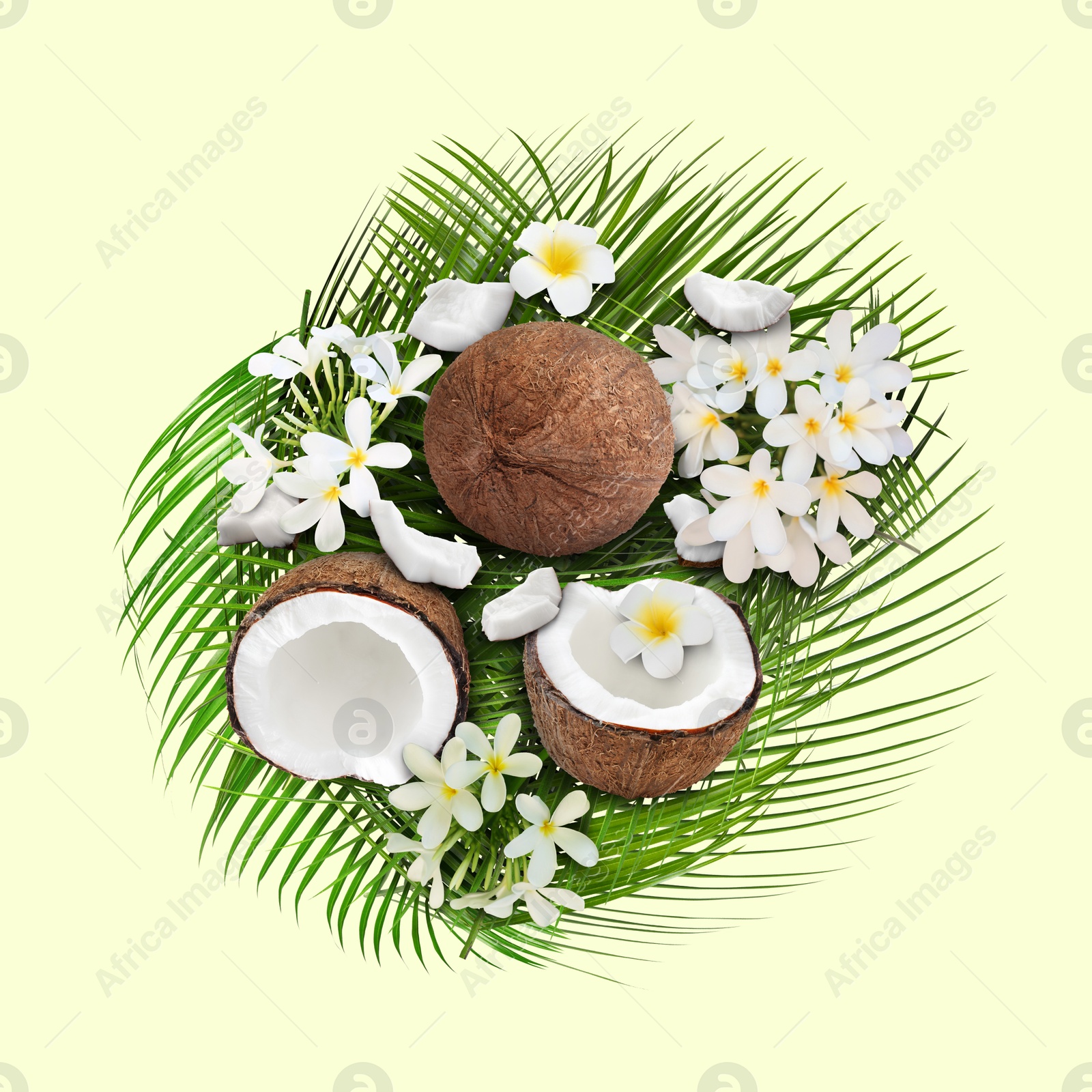 Image of Coconuts, tropical flowers and leaves on beige background