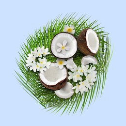 Image of Coconuts, tropical flowers and leaves on light blue background