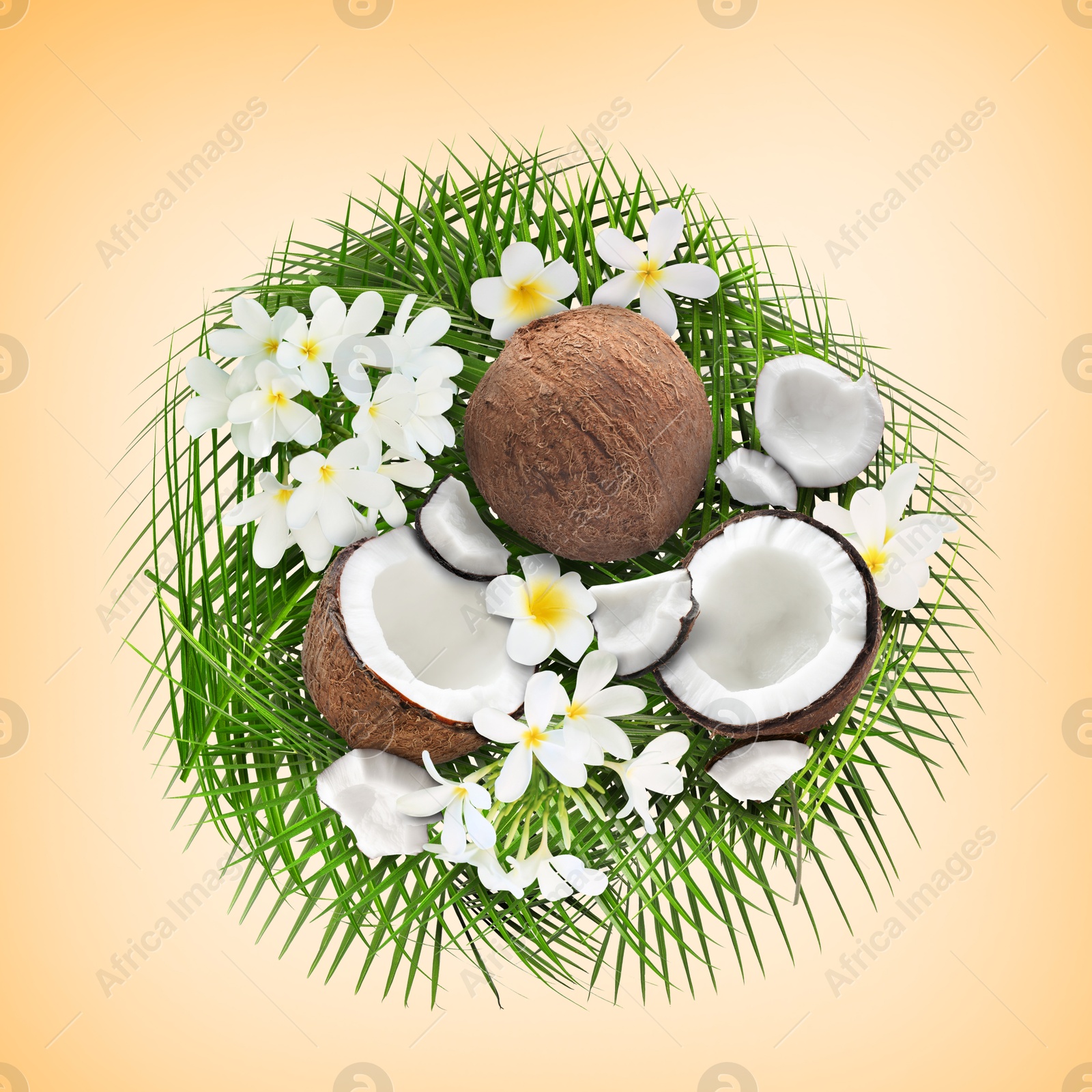 Image of Coconuts, tropical flowers and leaves on pale orange background