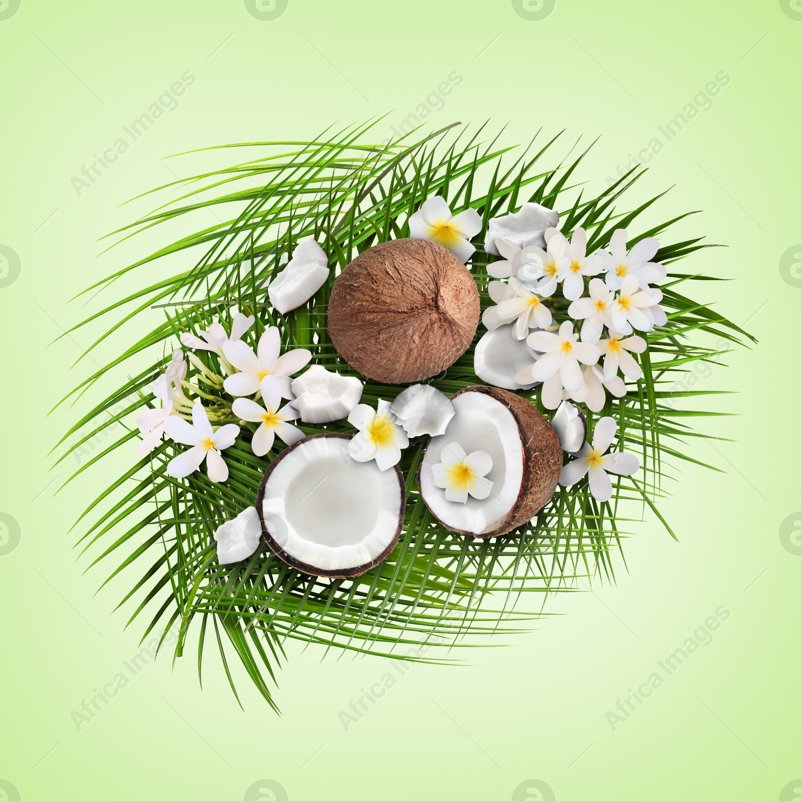 Image of Coconuts, tropical flowers and leaves on light green background