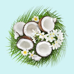 Image of Coconuts, tropical flowers and leaves on light blue background