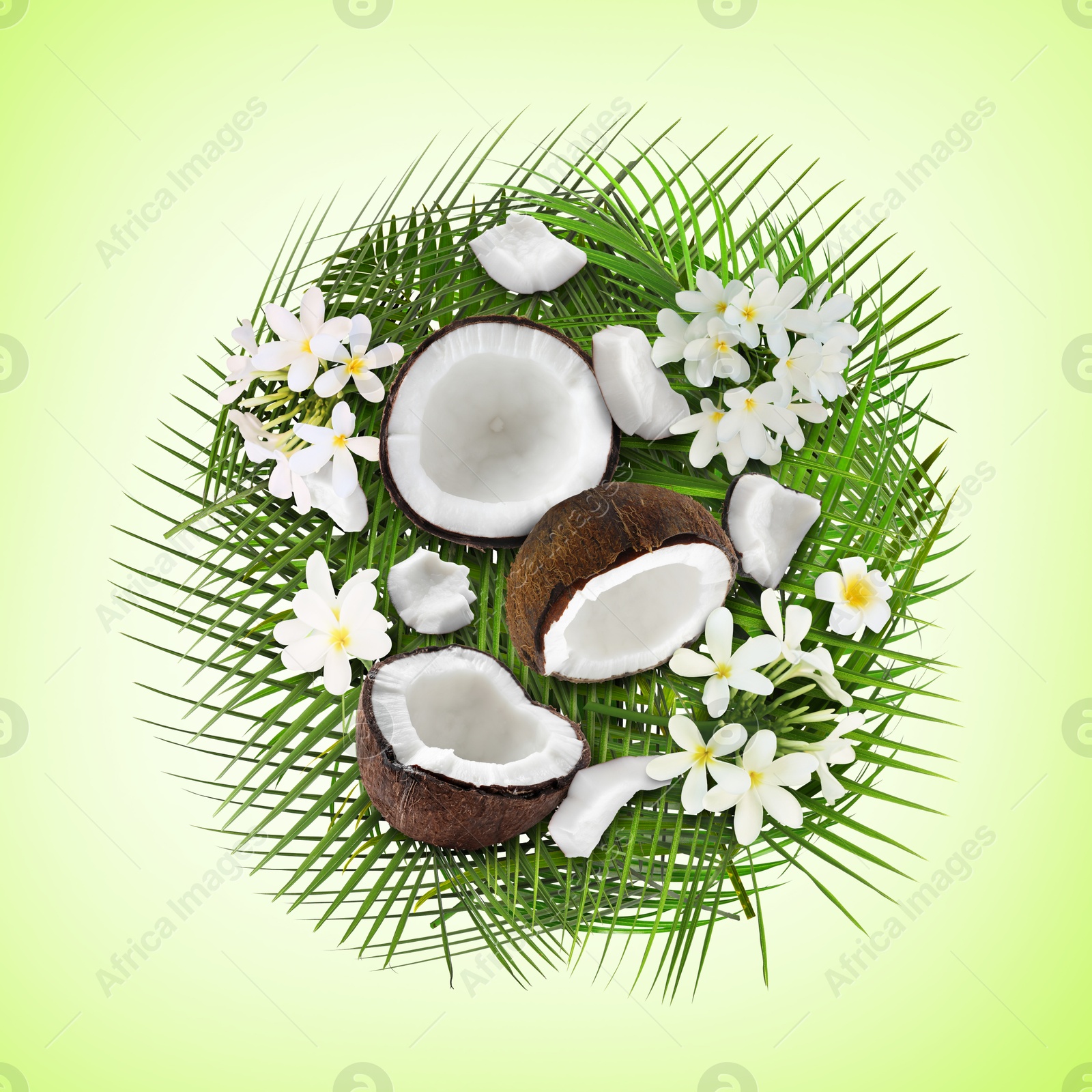 Image of Coconuts, tropical flowers and leaves on light green background