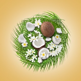 Image of Coconuts, tropical flowers and leaves on pale orange background