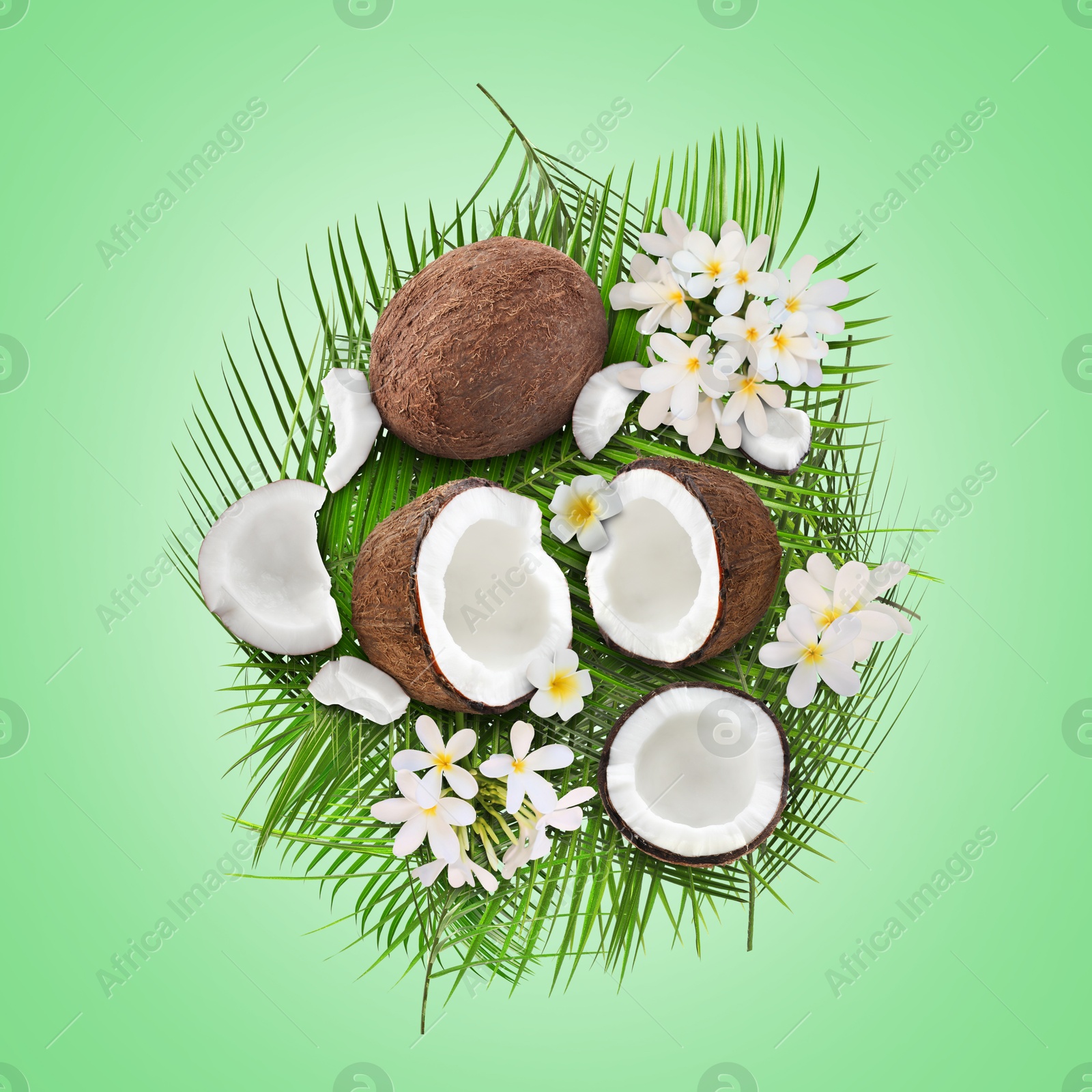 Image of Coconuts, tropical flowers and leaves on light green background