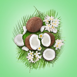 Image of Coconuts, tropical flowers and leaves on light green background