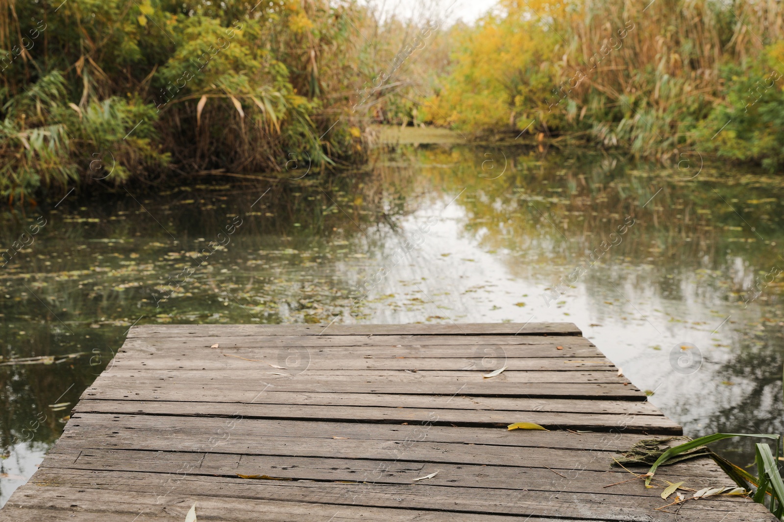 Photo of Beautiful wooden pier and lake on autumn day