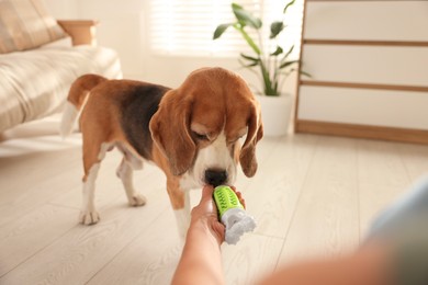 Photo of Owner giving toy to cute dog at home, closeup. Playing with pet