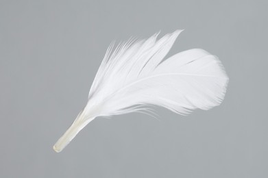 Photo of One white feather on light grey background