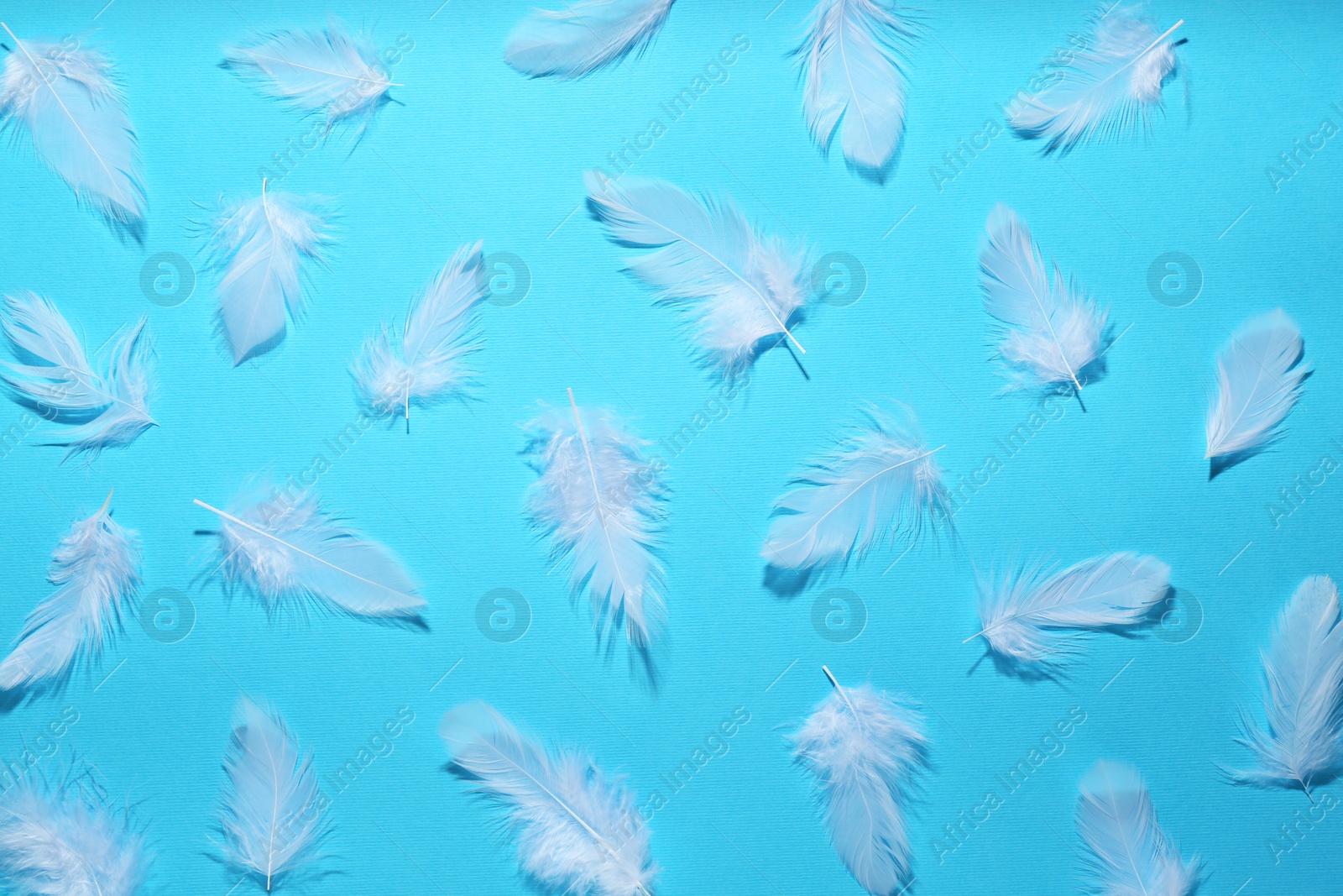 Photo of Beautiful feathers on light blue background, flat lay