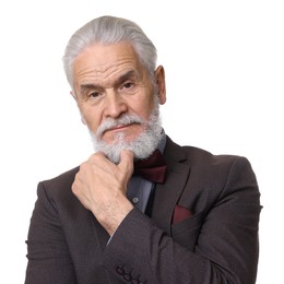 Portrait of elegant bearded gentleman on white background