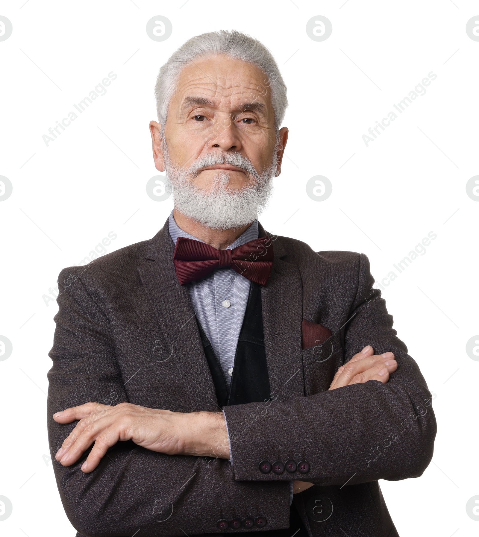 Photo of Portrait of elegant bearded gentleman on white background