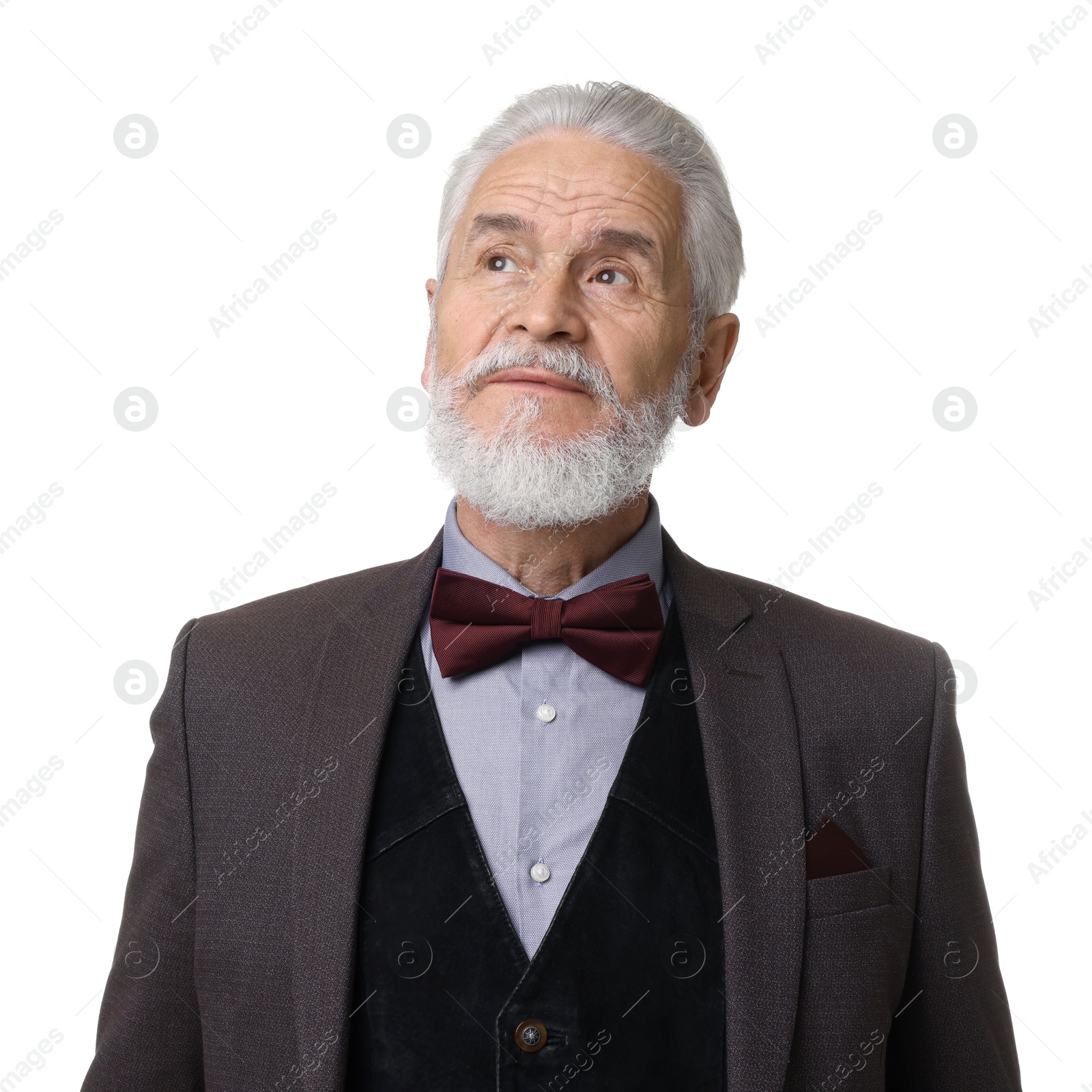 Photo of Portrait of elegant bearded gentleman on white background