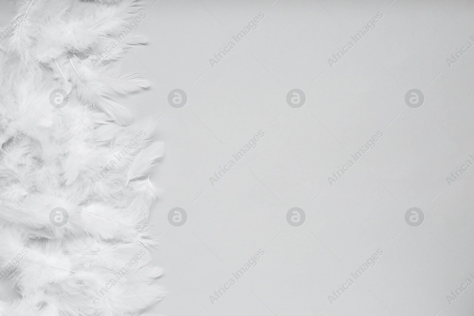 Photo of Beautiful feathers on light grey background, flat lay. Space for text