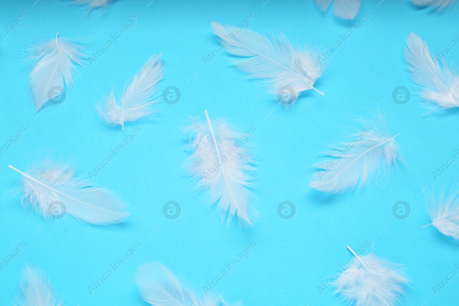 Photo of Beautiful feathers on light blue background, flat lay