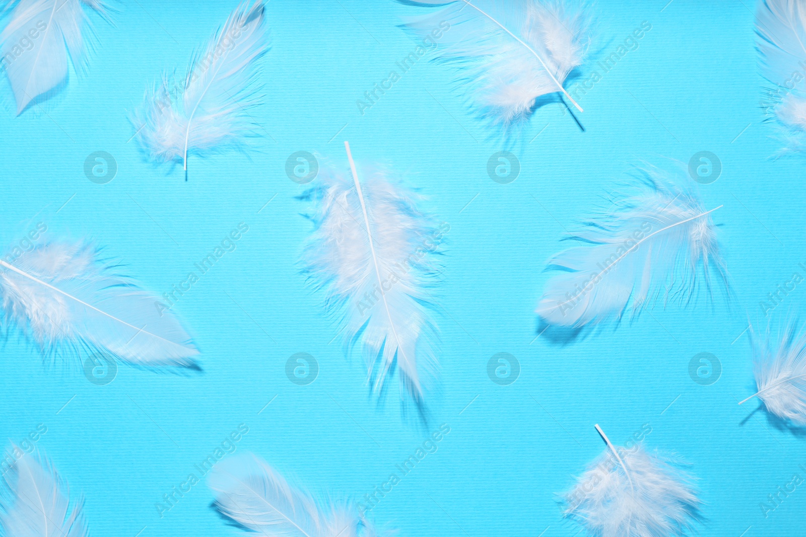 Photo of Beautiful feathers on light blue background, flat lay