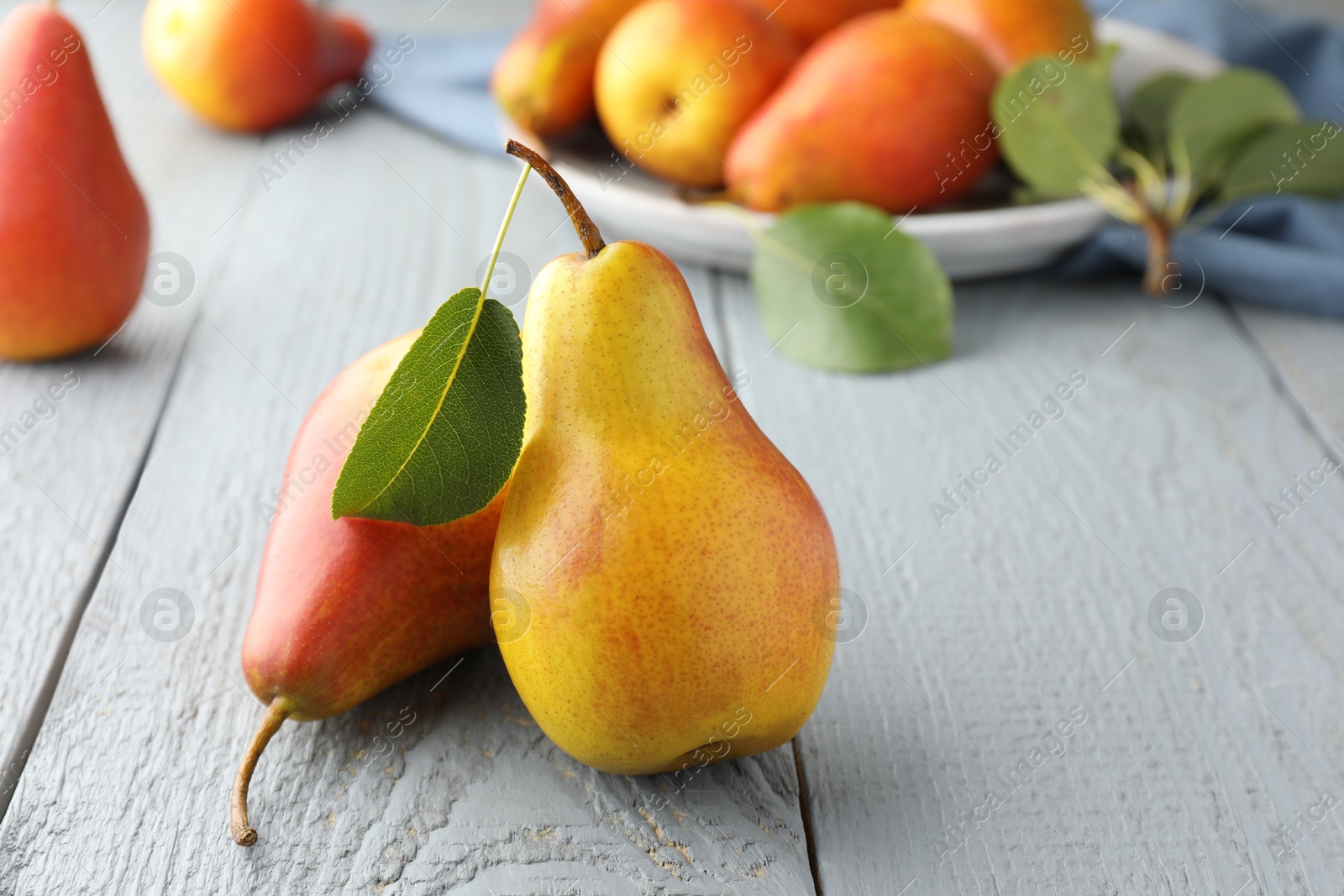 Photo of Ripe juicy pears on grey wooden table, closeup