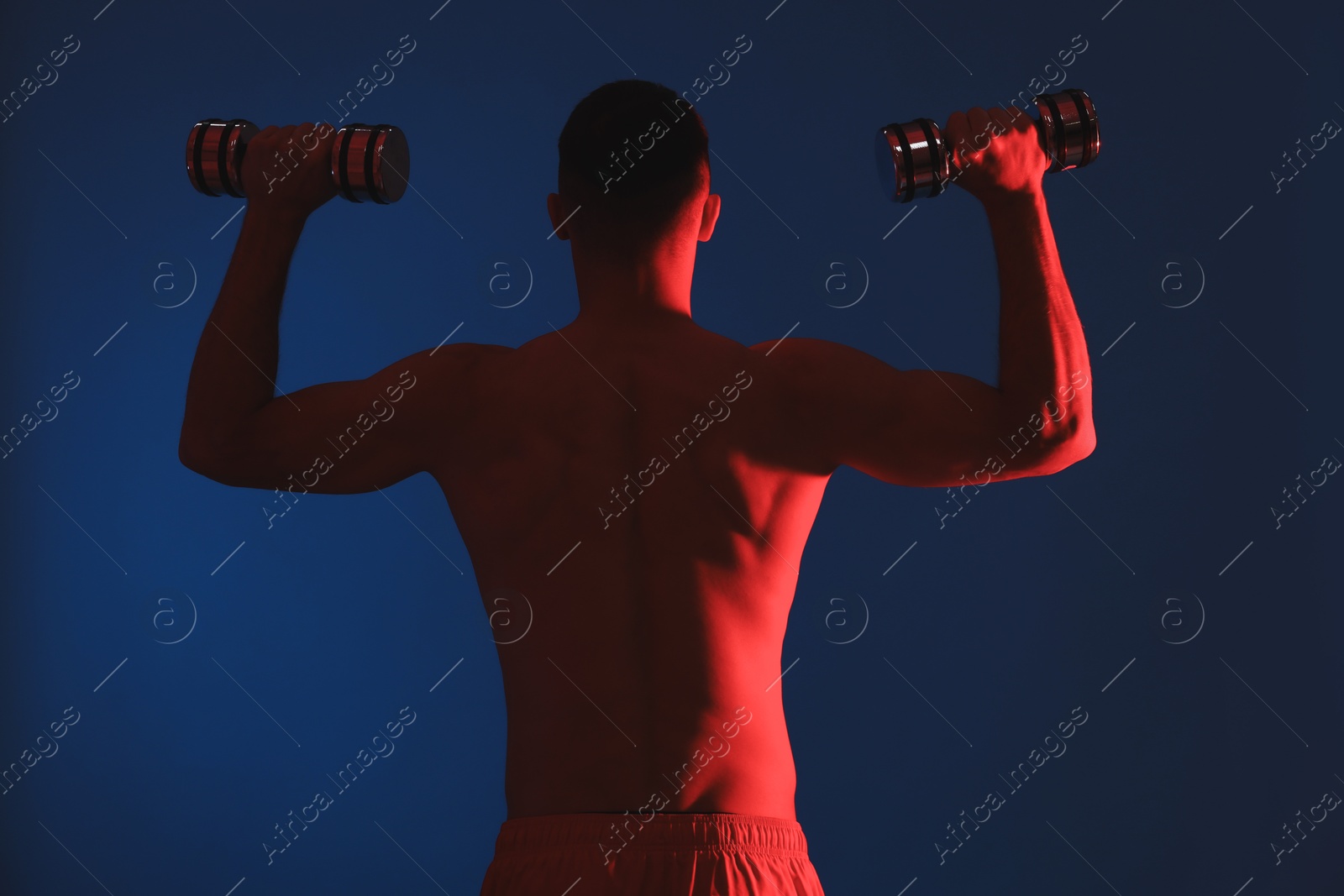 Photo of Man exercising with dumbbells in red light on blue background, back view