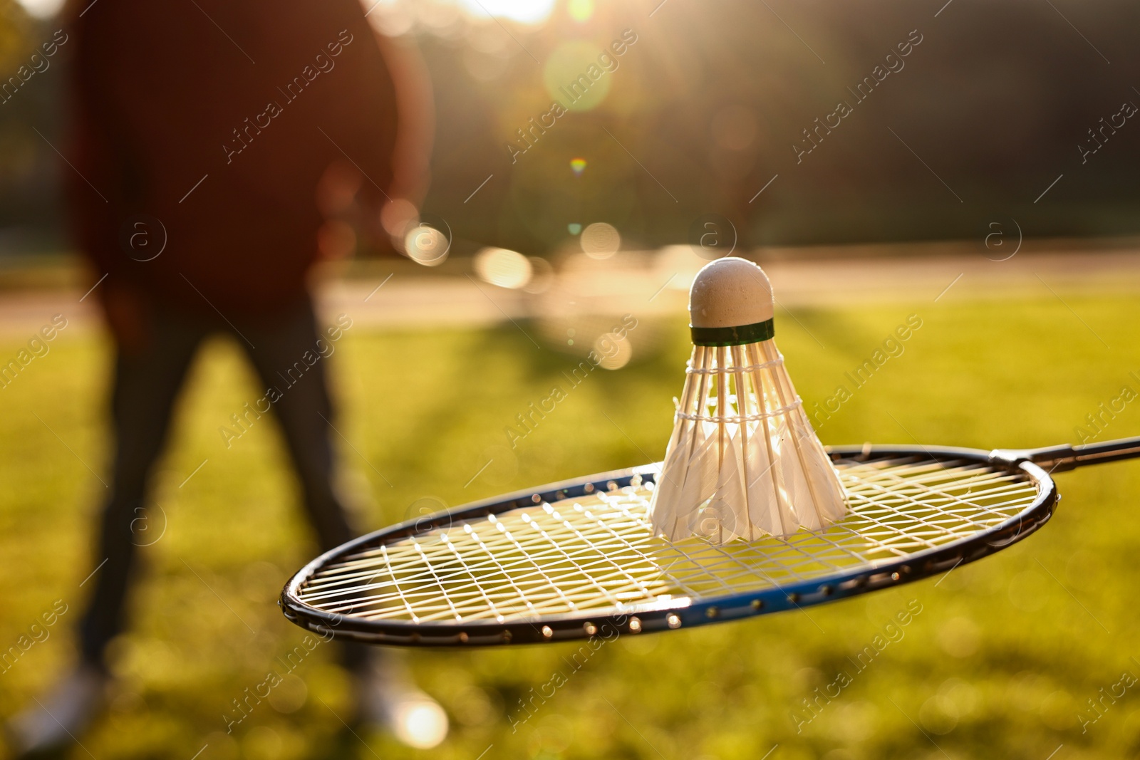 Photo of Badminton racket and shuttlecock in park on sunny day, selective focus