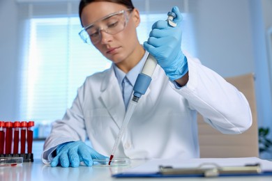 Laboratory testing. Doctor dripping blood sample into Petri dish at table indoors, selective focus