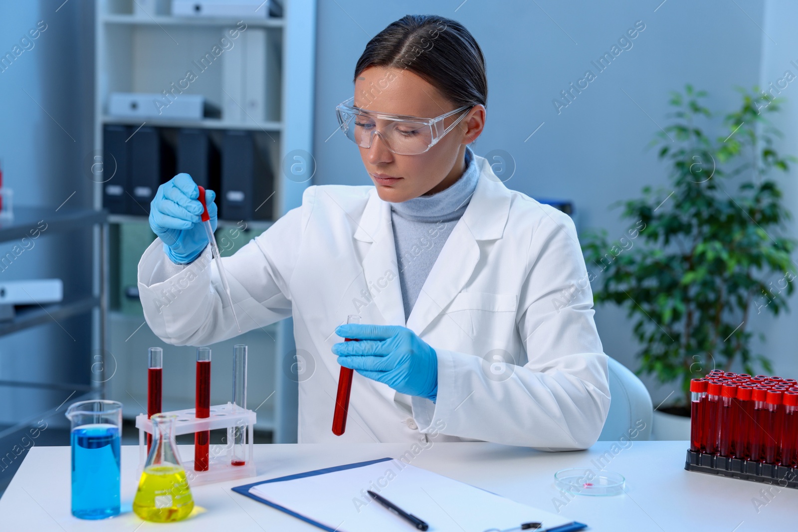 Photo of Laboratory testing. Doctor dripping blood sample into test tube at table indoors