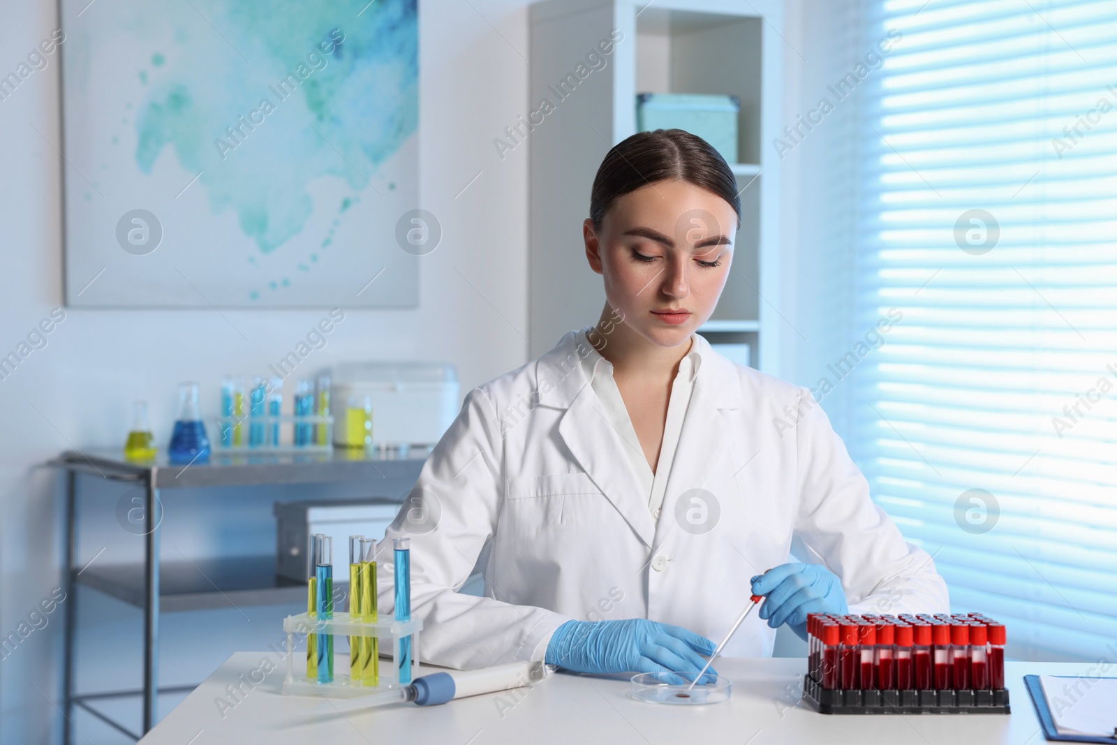 Photo of Laboratory testing. Doctor dripping blood sample into Petri dish at table indoors