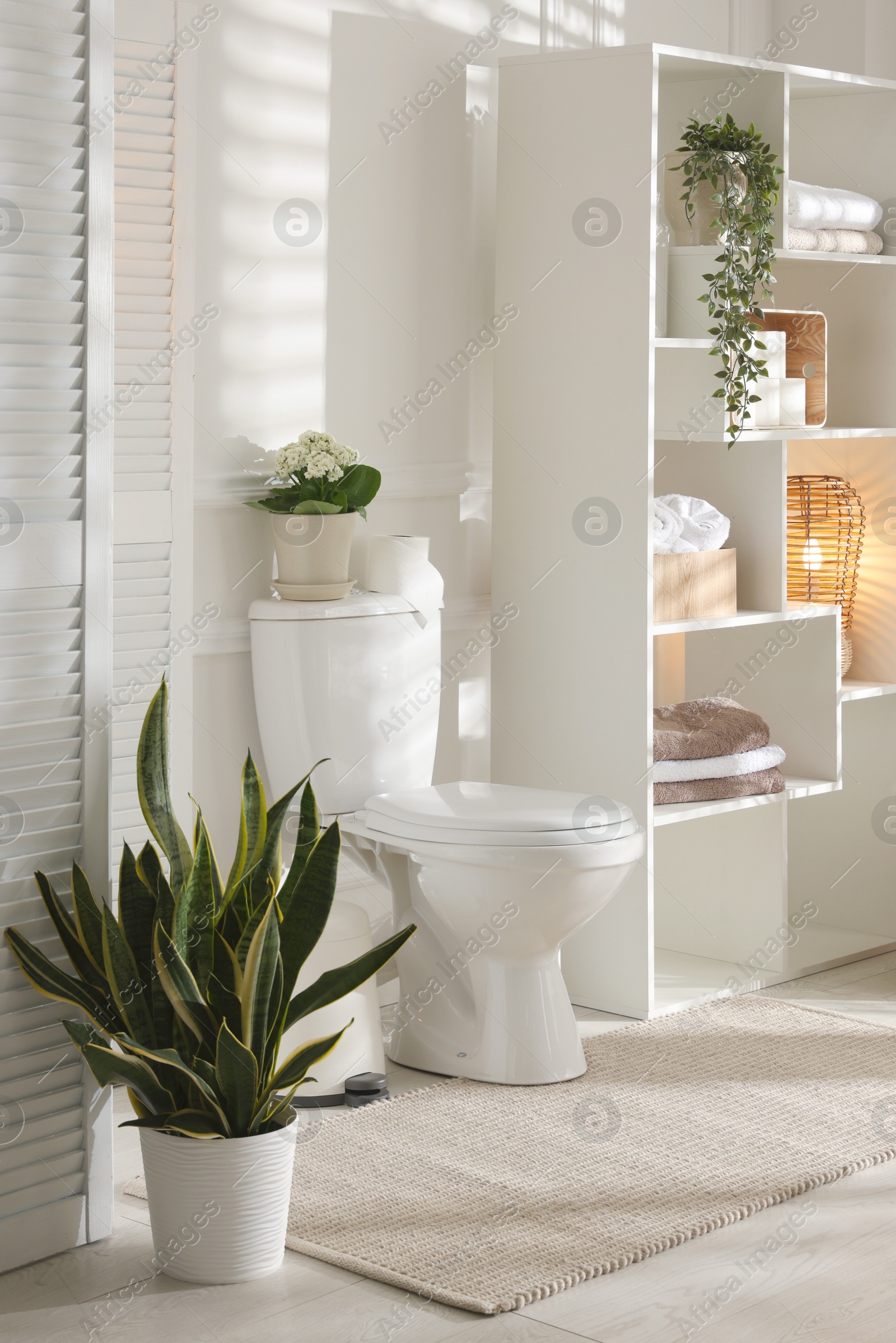 Photo of Folding screen, toilet bowl and houseplants in restroom