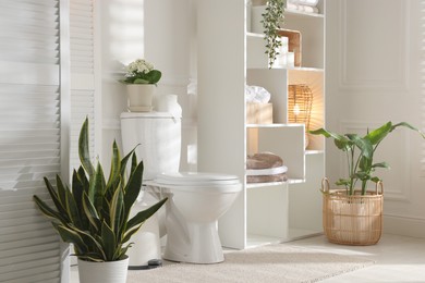 Photo of Folding screen, toilet bowl and houseplants in restroom