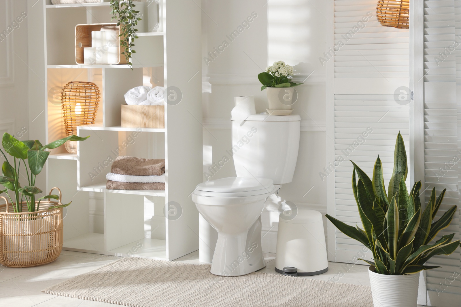 Photo of Folding screen, toilet bowl and houseplants in restroom